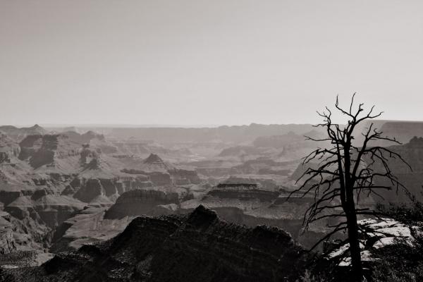 Grand Canyon: Blick über den Canyon