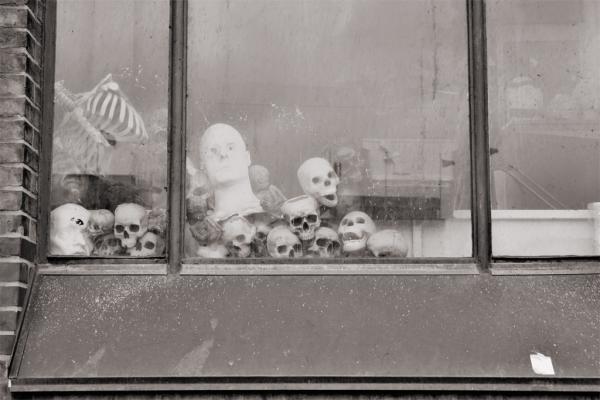 Hamburg: Schädel im Fenster des Dungeons