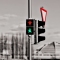 Ampelweibchen