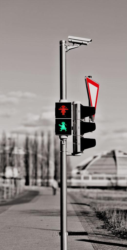 Ampelweibchen