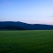 Bayerischer Wald