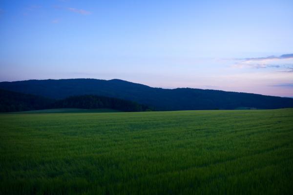 Bayerischer Wald