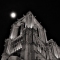 Paris: Cathédrale Notre-Dame de Paris #1