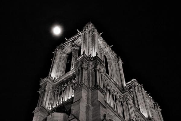 Paris: Cathédrale Notre-Dame de Paris #1