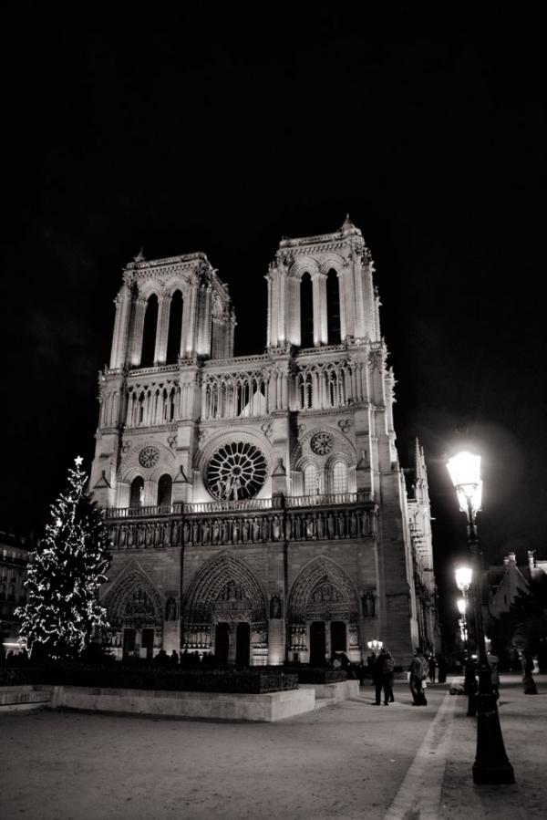 Paris: Cathédrale Notre-Dame de Paris #2