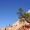 Zion National Park