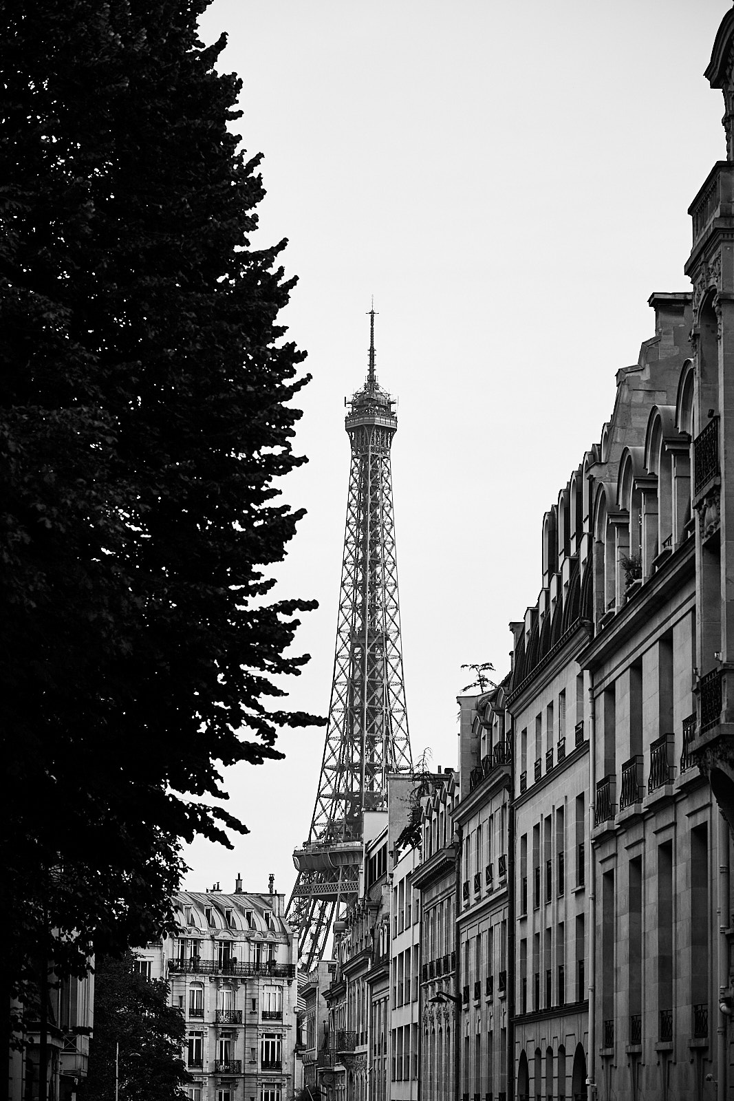Paris__MG_6473