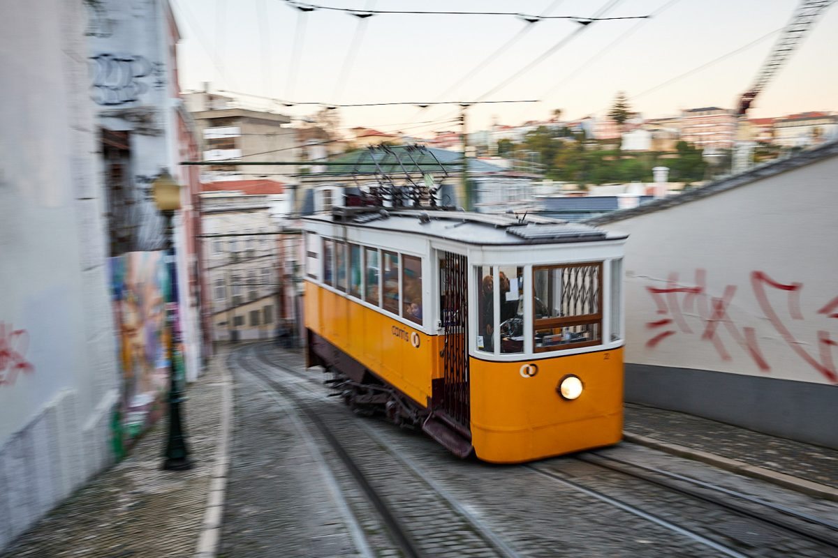 _MG_7918